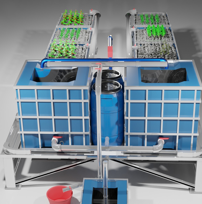 Green Zone Aquaponics